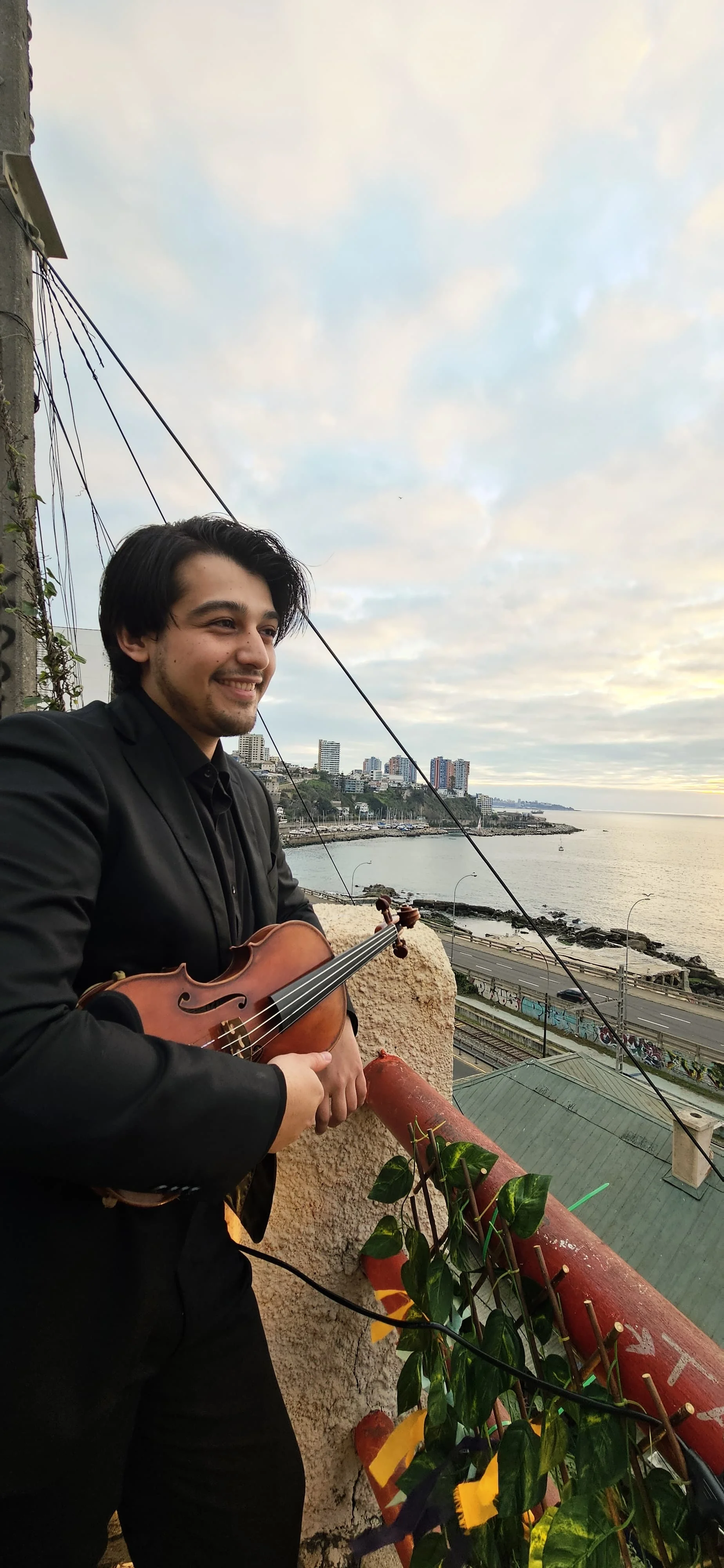 Bruno Petit Violin V