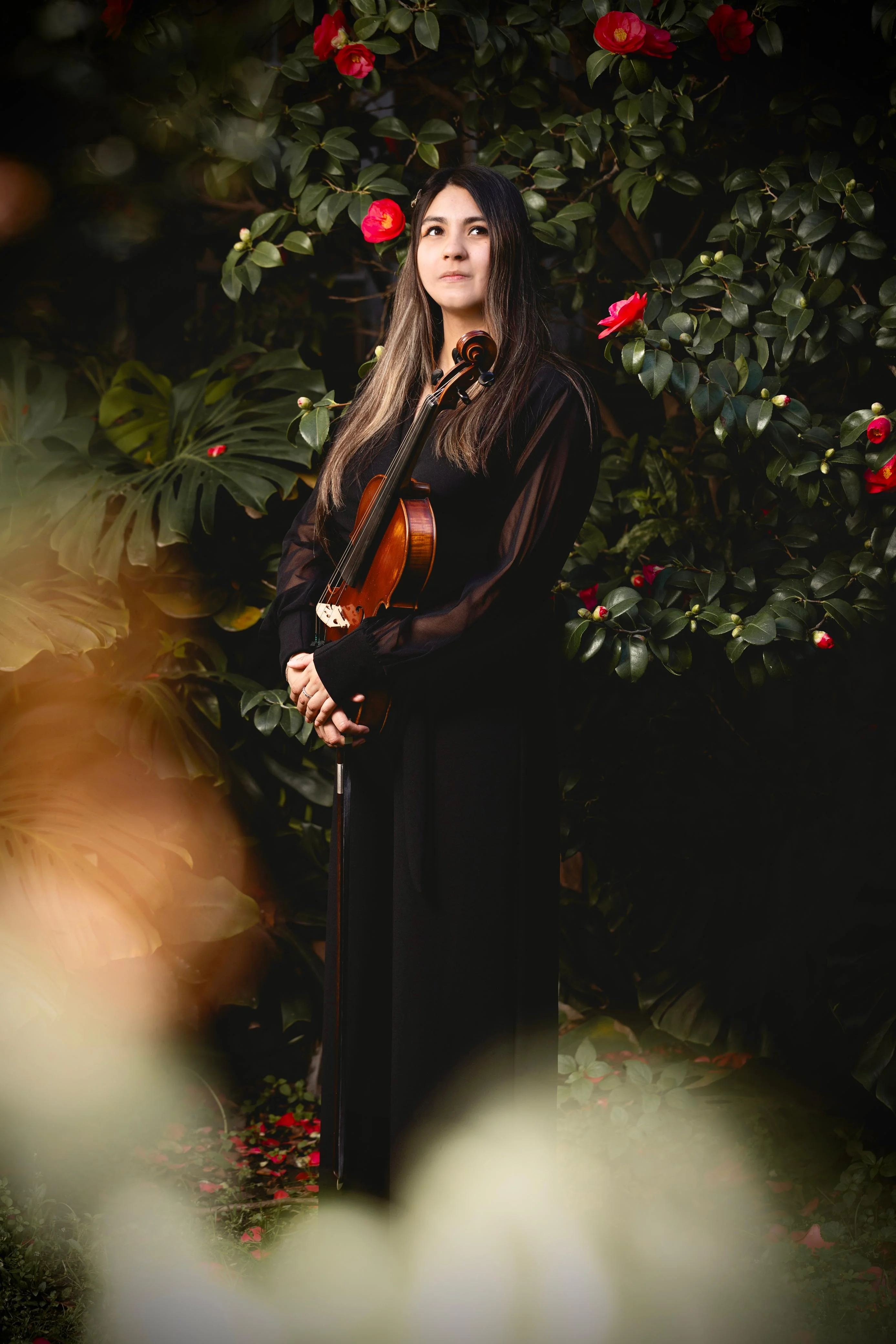 Elizabeth Godoy Viola V