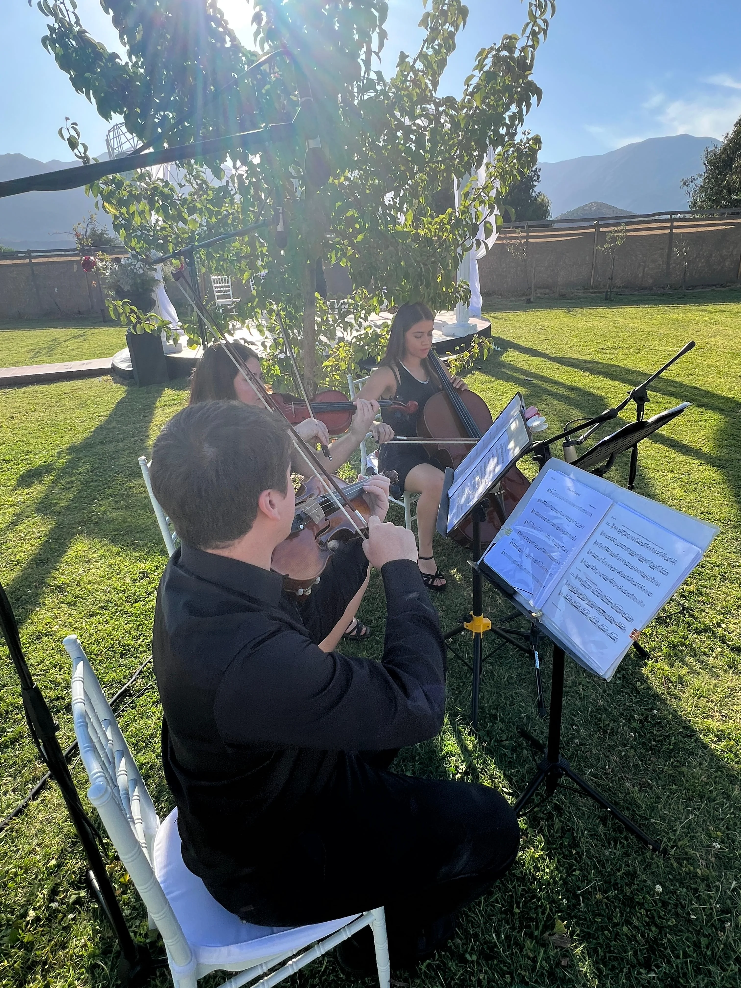 Música en vivo